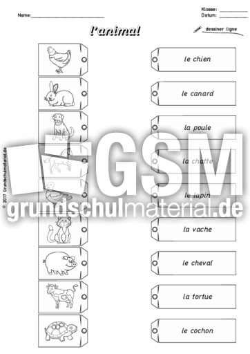 AB-Tiere-animal-ligne.pdf